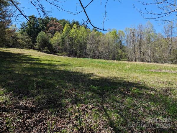 TBD Jaybird LN, Flat Rock, NC 28731