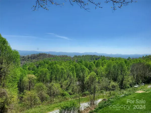 Laurel Park, NC 28739,906 Fleetwood PLZ