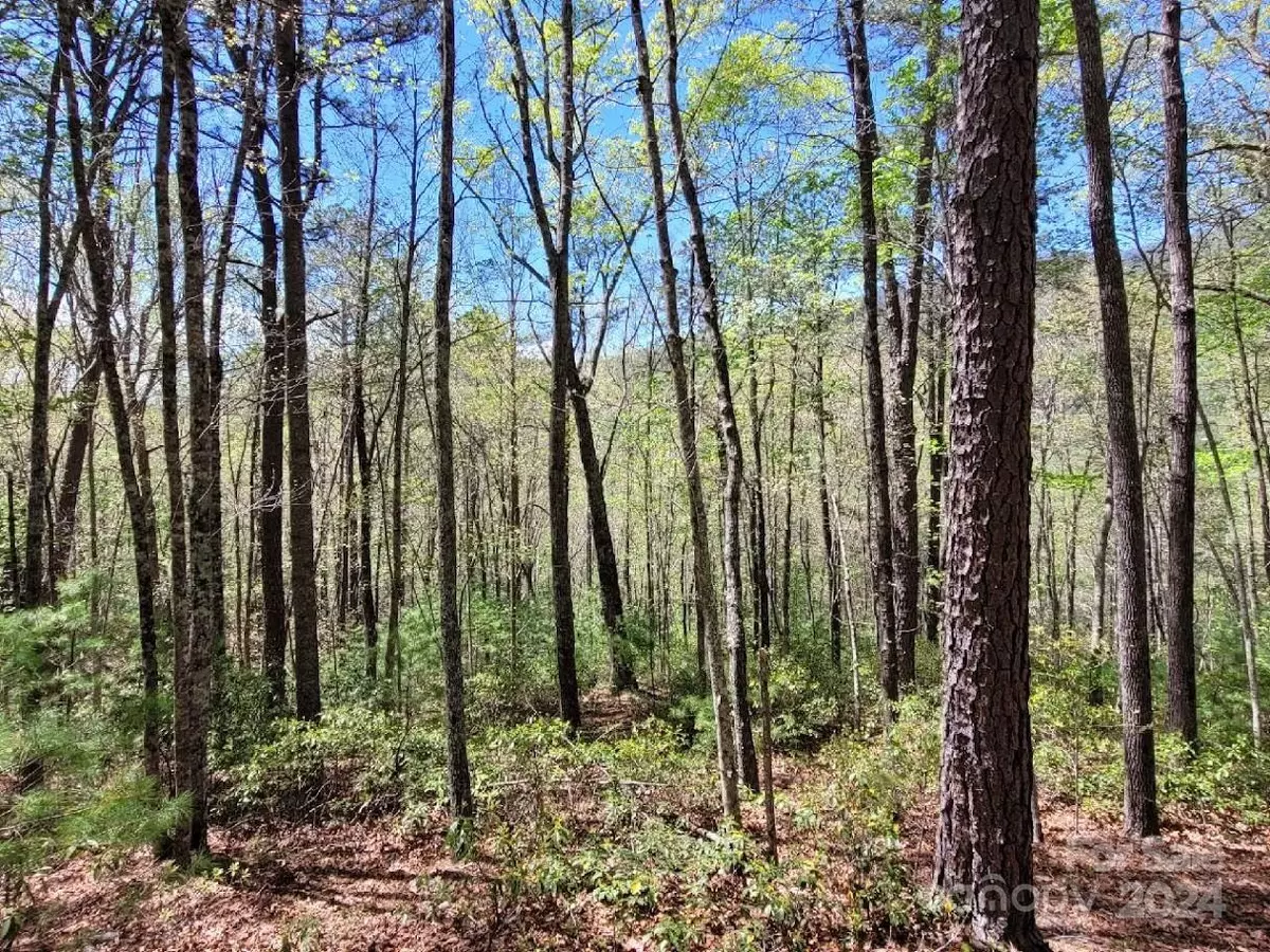 Marion, NC 28752,Lot 21 Little Fox RUN