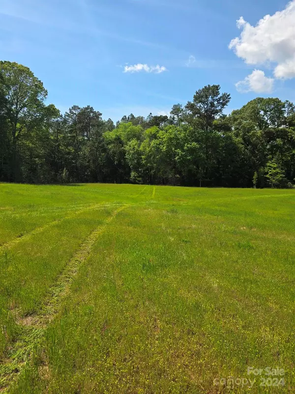 Chester, SC 29706,84 Ac Mt Prospect RD