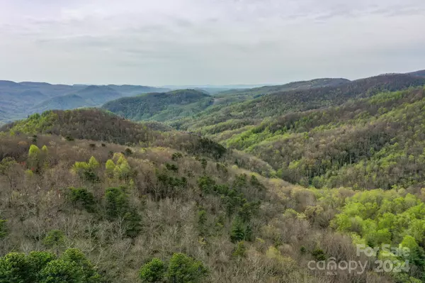 Black Mountain, NC 28711,40 Tagalong LN