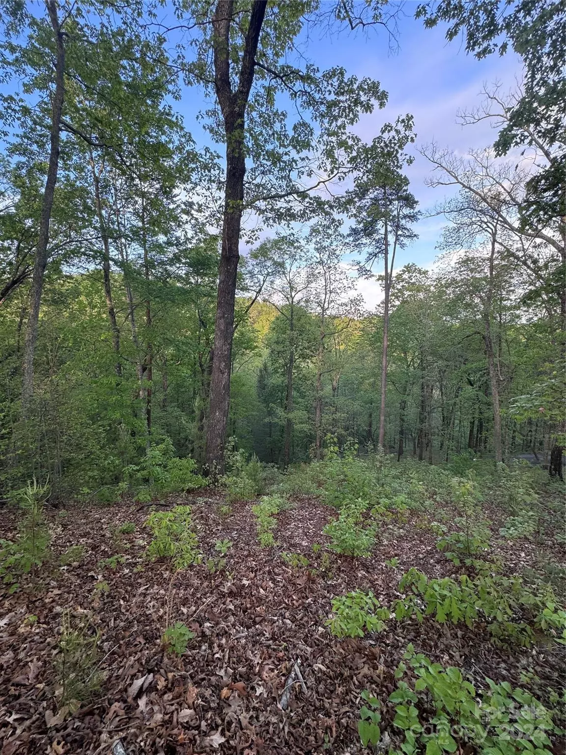 Lake Lure, NC 28746,0 Willow Top LN #315