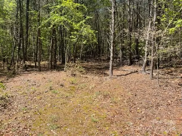 Bostic, NC 28018,343 Aurora RDG