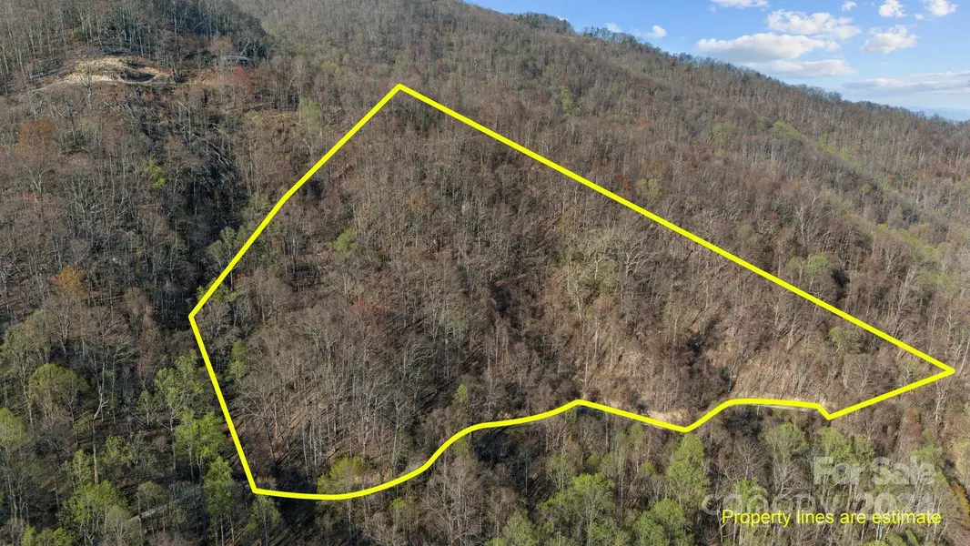 Lot 25 Deer Rock RD, Hot Springs, NC 28743