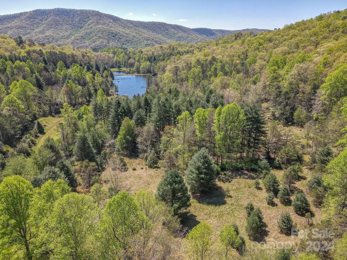 Horse Shoe, NC 28742,000 Davey Branch RD