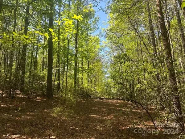 Nebo, NC 28761,Lot 11 Pisgah Preserve DR