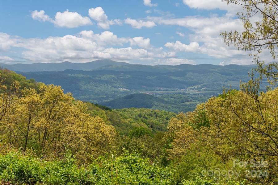 4642 Bearwallow Mountain RD, Hendersonville, NC 28792