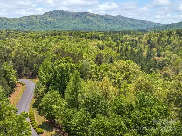 Mill Spring, NC 28756,000 Lake Adger Pkwy #Lot #4
