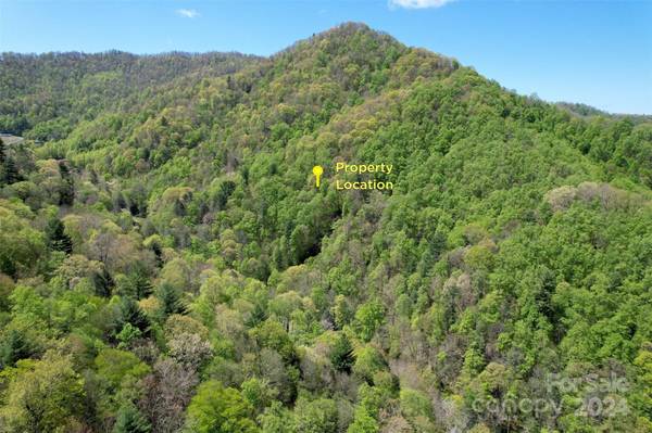 33.7 +/- Acres Jarrett Cove RD, Marshall, NC 28753