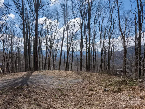 Fairview, NC 28730,17 Twin Springs CT