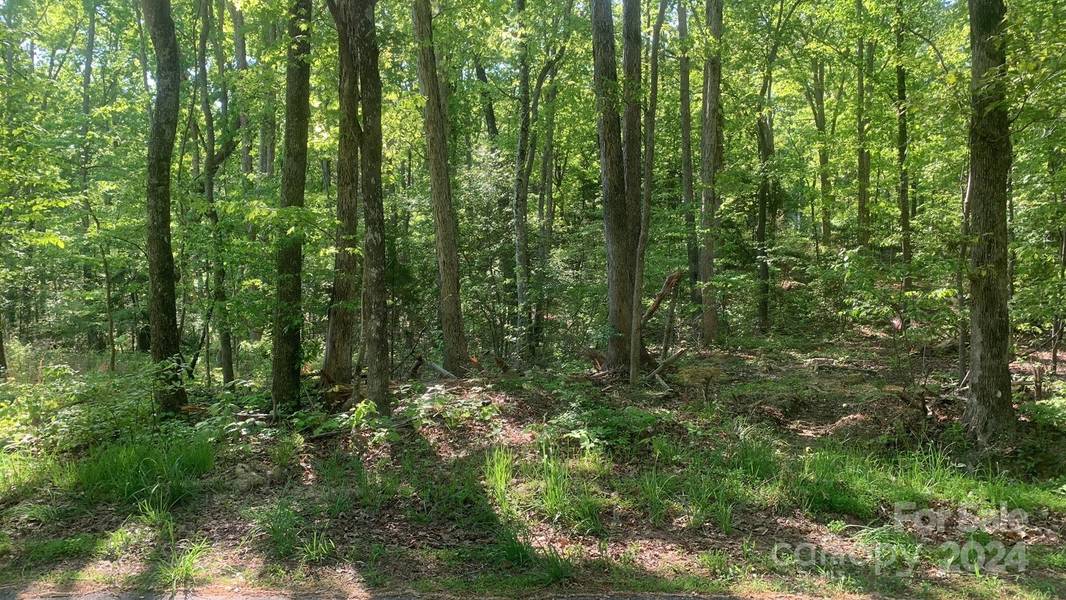 Lot #26 Lookout Tower RD, Blacksburg, SC 29702