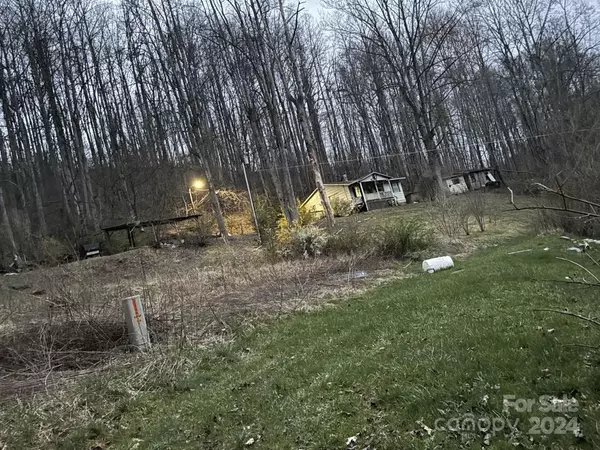 Barnardsville, NC 28709,25 Lavenia LN