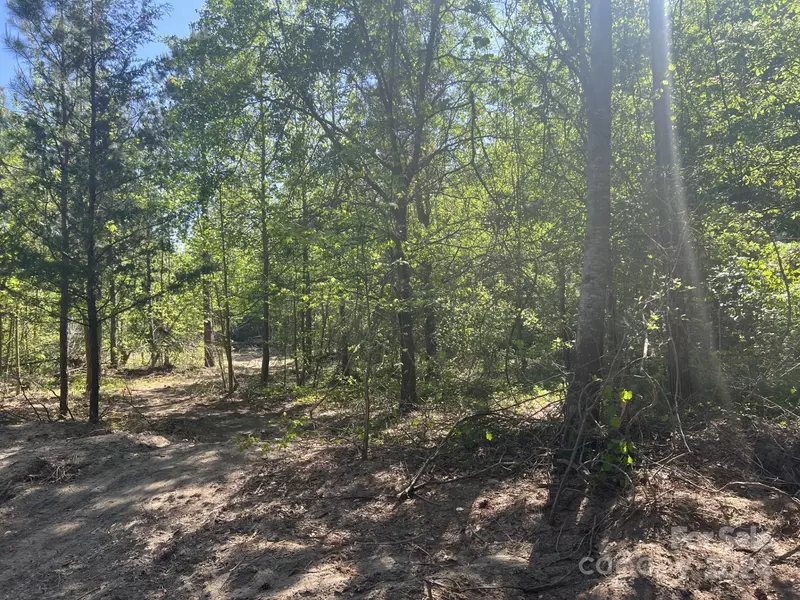 0 Isabel LN #Tract 9, Candor, NC 27229