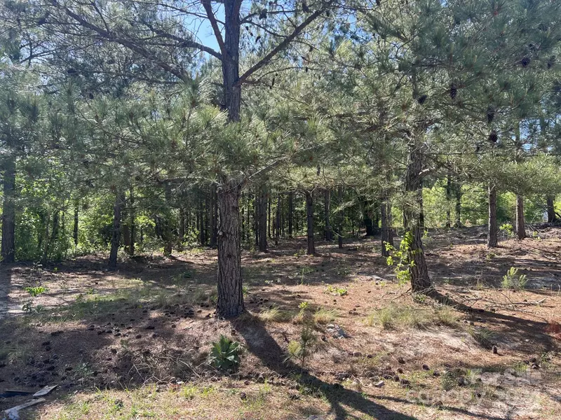 0 Westridge LN #Tract 8, Candor, NC 27229