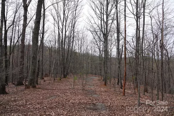 Bostic, NC 28018,101 Skyridge DR