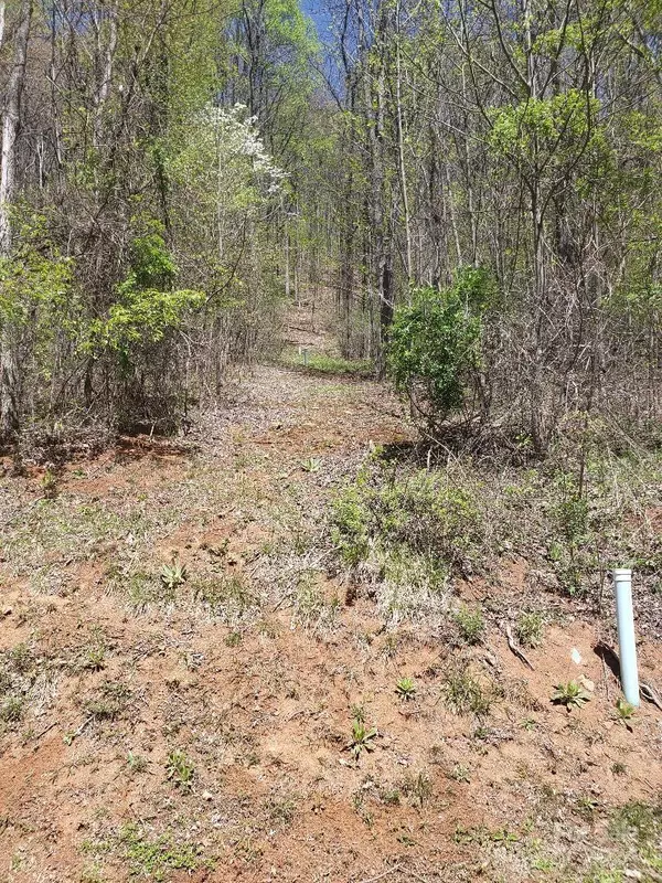Waynesville, NC 28785,40 Mountain Watch DR