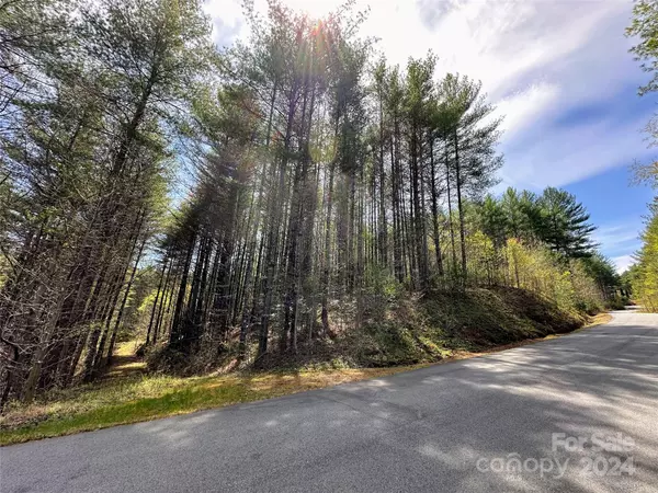 Collettsville, NC 28611,0 National Forest DR #132