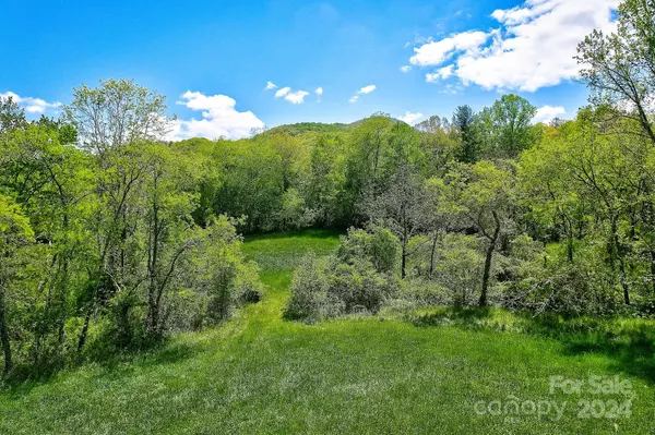 Fletcher, NC 28732,141 Livingston RD
