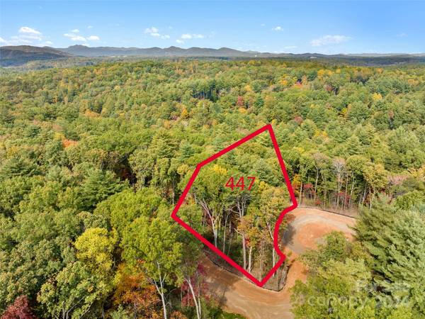 218 Emerald Necklace DR #447, Asheville, NC 28803