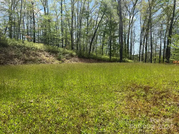 Balsam Grove, NC 28708,TBD Shining Rock RDG