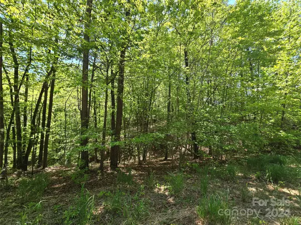 Marion, NC 28752,00 Secluded DR