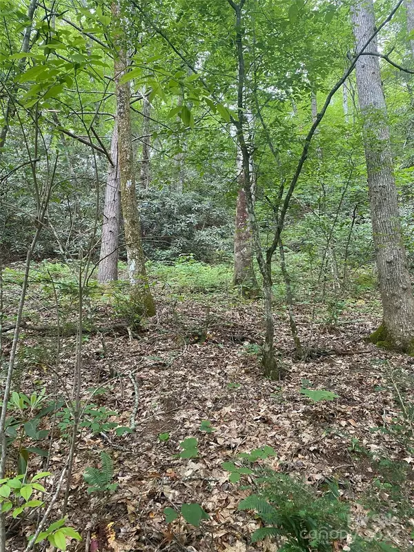Lake Lure, NC 28746,0 Cedar Creek RD #61
