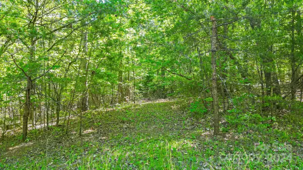 Rutherfordton, NC 28139,0 W T Wilkins RD #11