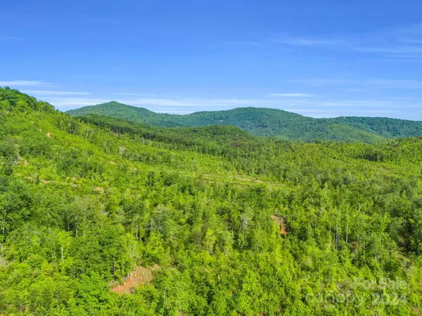 Lake Lure, NC 28746,0 Bills Creek RD