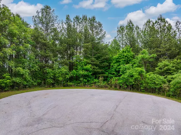 Mill Spring, NC 28756,TBD Contuck LN