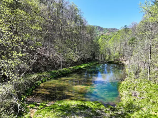 Green Mountain, NC 28740,2180 Pigeon Roost RD