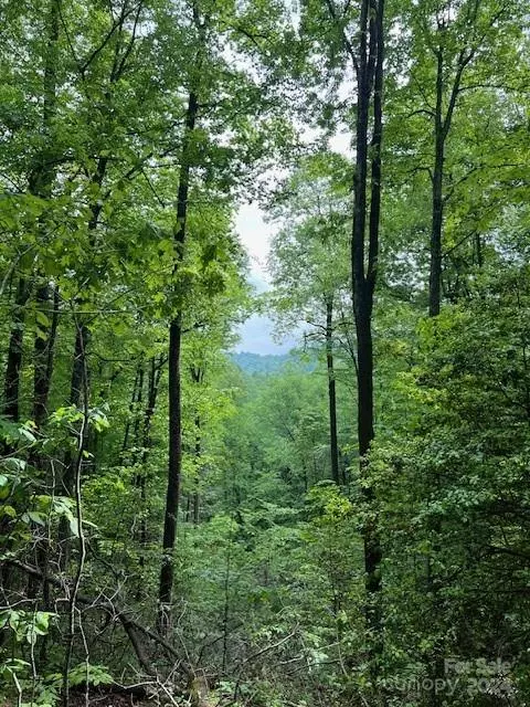 Saluda, NC 28773,TBD Pacolet ST