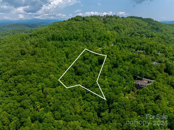 Hendersonville, NC 28739,185 Crossvine TRL