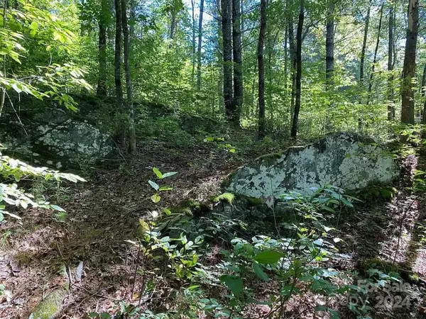 Hayesville, NC 28904,0 Trillium Heights TER #38