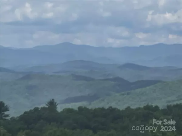 Rosman, NC 28772,428 Devils Hole RD #14