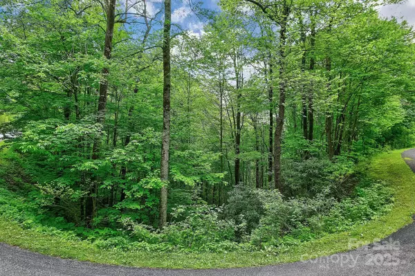 Maggie Valley, NC 28751,Lot 119 Davey Crockett DR