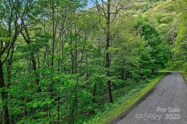 Maggie Valley, NC 28751,Lot 119 Davey Crockett DR