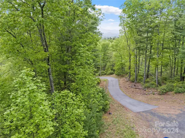 Spruce Pine, NC 28777,00 Orchard View TRL #1