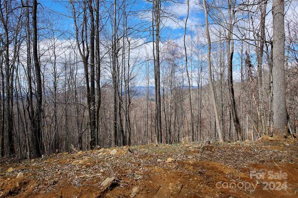 000 Pebble Ridge RD #33R, Spruce Pine, NC 28777