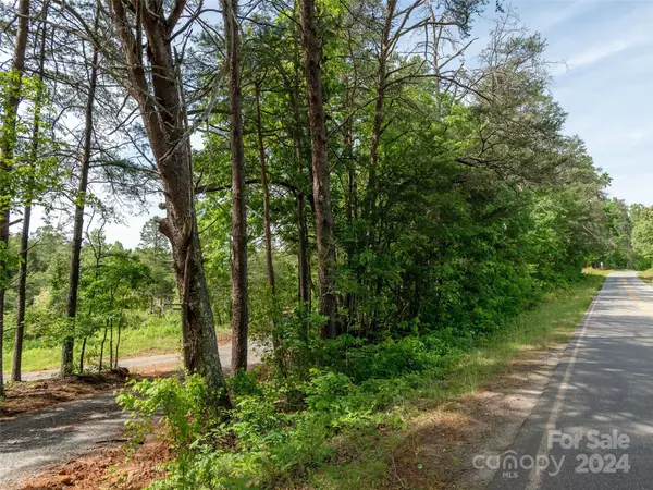 Mill Spring, NC 28756,00 Big Level RD