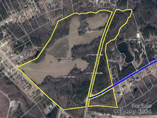 Pageland, SC 29728,TBD S Arant ST