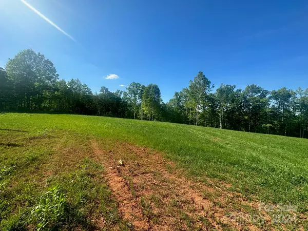 Mill Spring, NC 28756,0000 Lake Adger RD