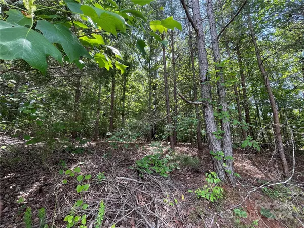 Hickory, NC 28602,4225 Rainbow Hills DR