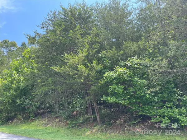 Hickory, NC 28602,4225 Rainbow Hills DR