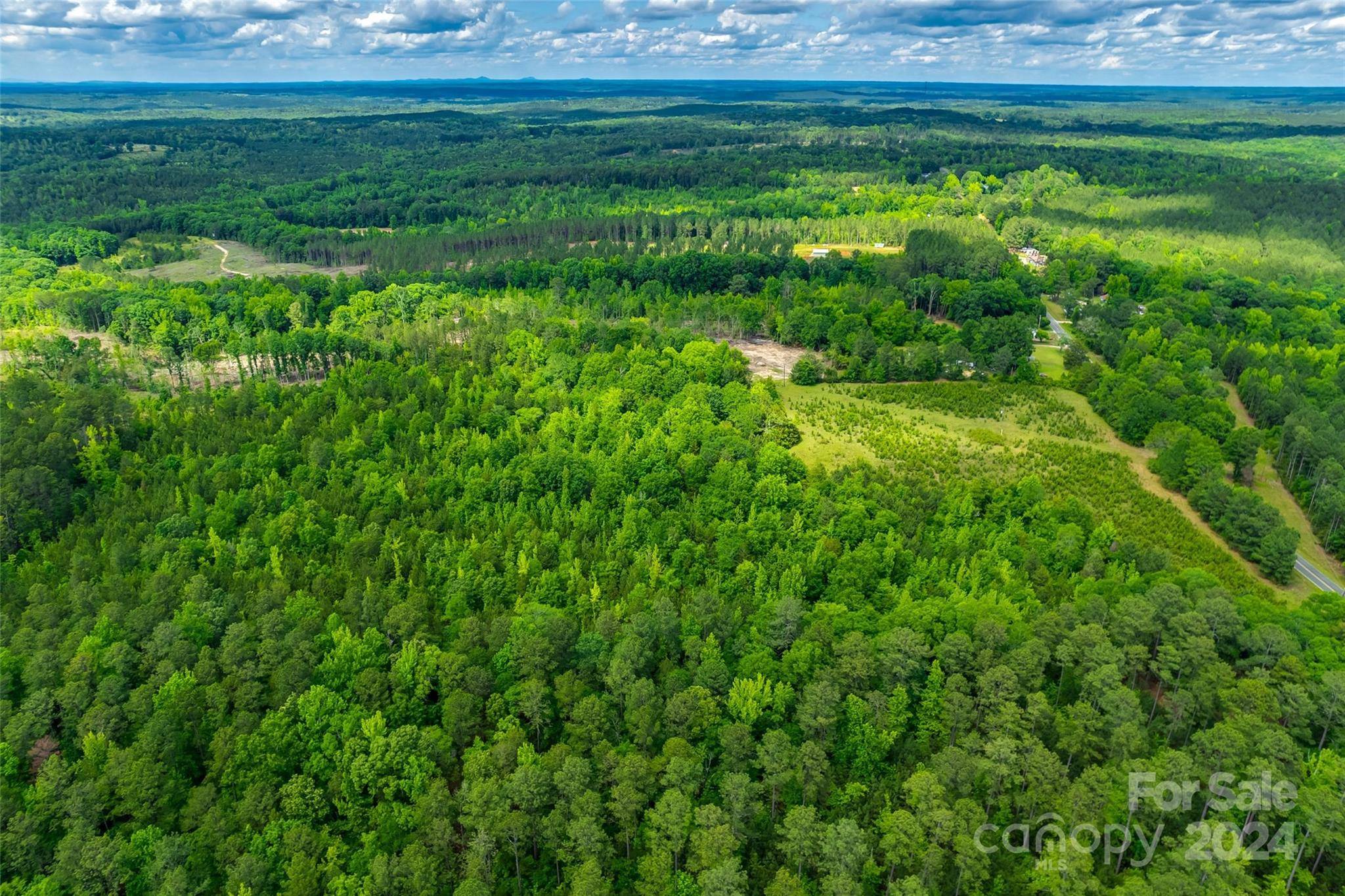 Carlisle, SC 29031,00 Woods Ferry RD