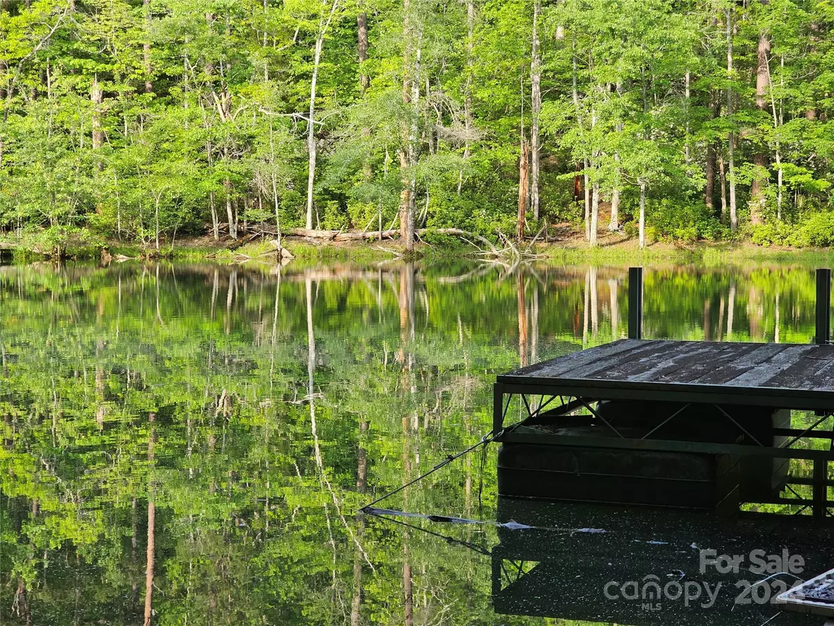 Mill Spring, NC 28756,TBD Parkway North RD