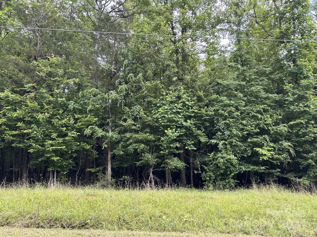 Waxhaw, NC 28173,0 Ski Trail LN