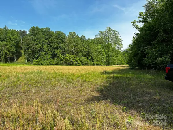 Mill Spring, NC 28756,000 Big Level RD