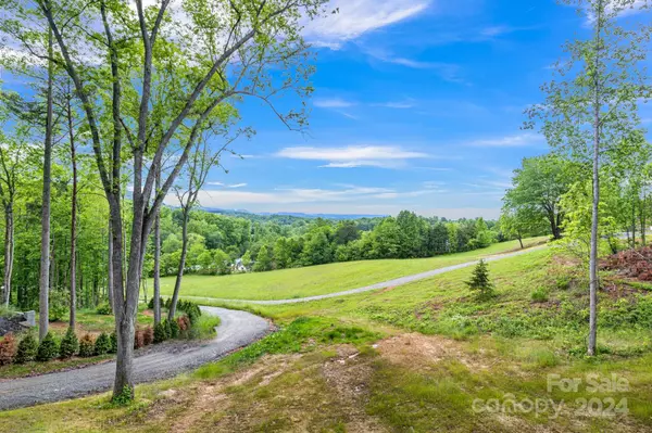224 Long Range LN, Leicester, NC 28748