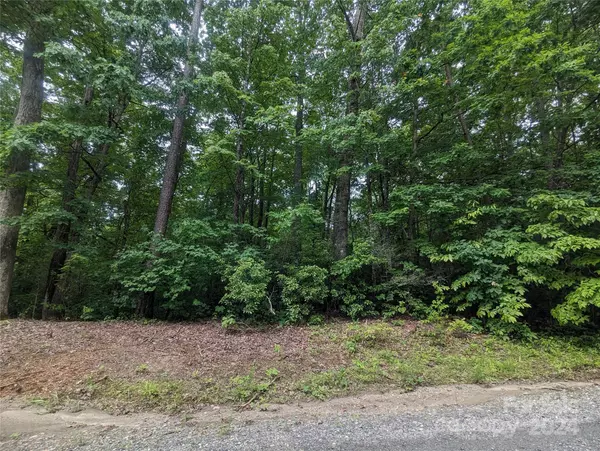 0 Jones CT #LOT 552, Lake Lure, NC 28746