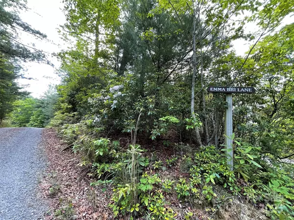Penrose, NC 28766,72 Emma Bri LN